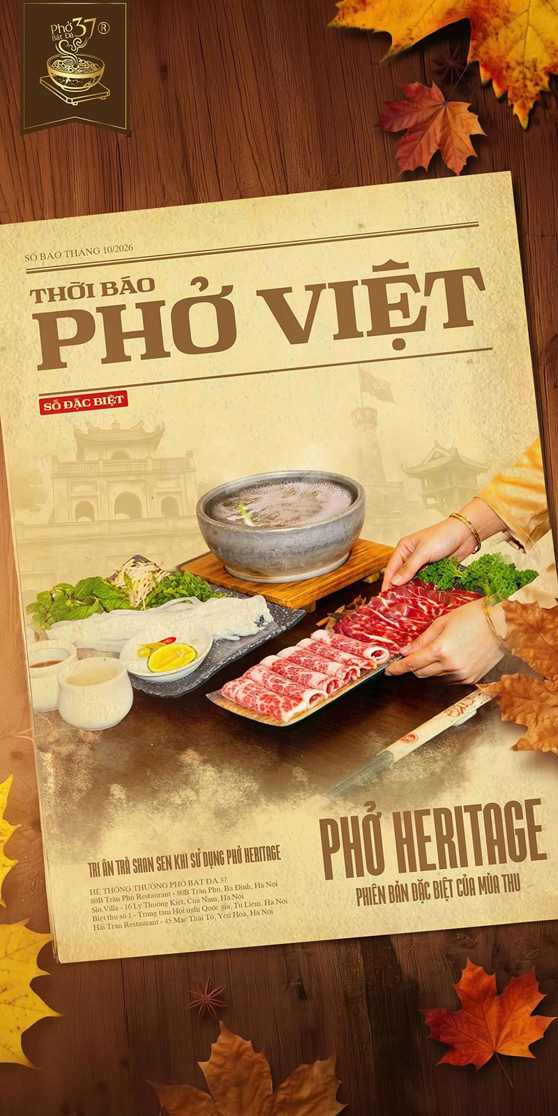 Thẩm PHỞ HERITAGE tri ân trà Cổ thụ 1000 năm tuổi Thẩm PHỞ HERITAGE tri ân trà Cổ thụ 1000 năm tuổi