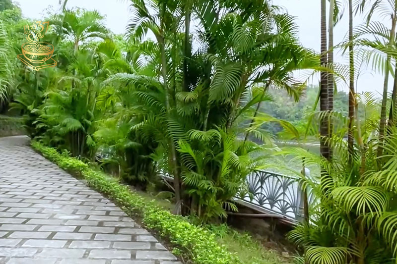 Thưởng Phở tại Ốc Đảo Xanh giữa lòng Hà Nội